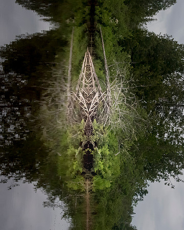 03_michaels_Reflection_North_Maine_Woods3_2017