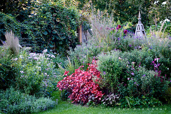 Stonecrop Garden