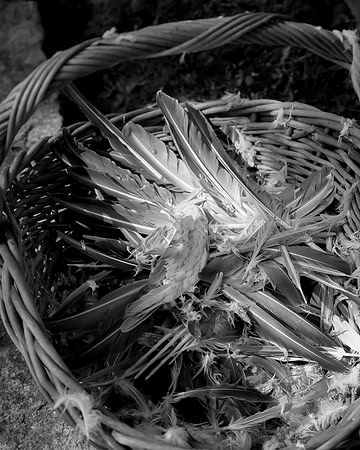 1Kerry_Michaels_DSC5755