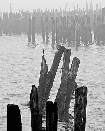 21AE_Pilings_DSC_0735 - Version 2