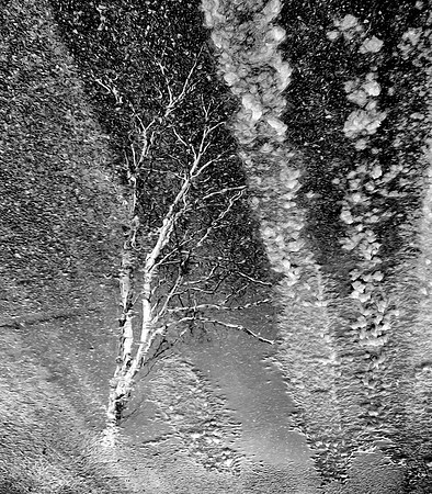 Plate4_Full_Bleed - Version 2