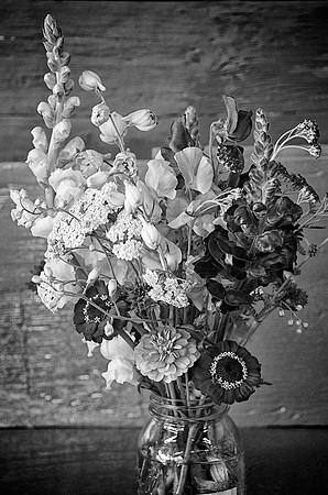 89A_Bouquet_DSC_1235