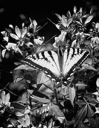 41_DSC_6360