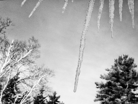 23A_Icicles_IMG_3537