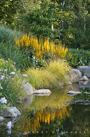 Coastal Maine Botanical Garden