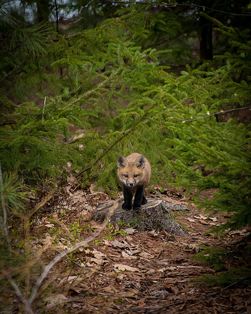 _DSC7232
