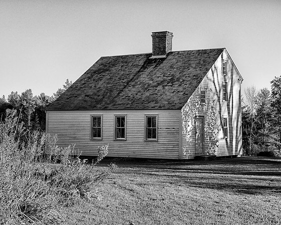 75A_Pettingil_WS_DSC3145