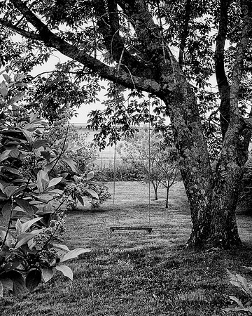 51AE_Swing_DSC1846