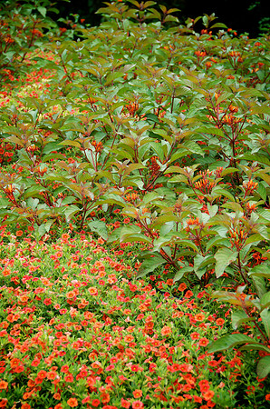 _DSC6357