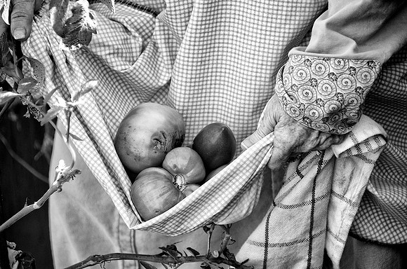 97AE_Apron_DSC_9816