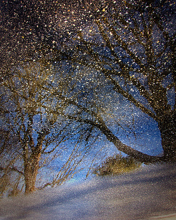 Reflection1_DSC4881