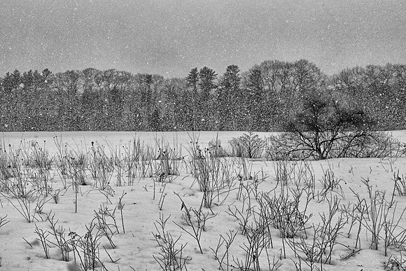 78A_Field_Snow_DSC0762