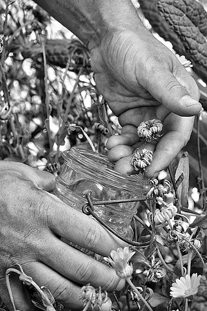 95AE_Hands_DSC_0058