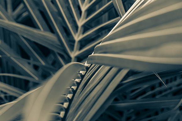 _7505021