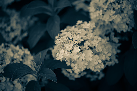 _7504261