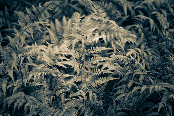 _DSC6448