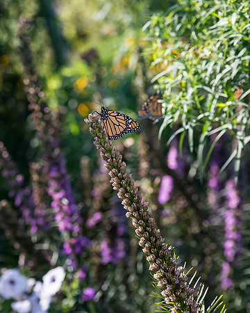_DSC0128