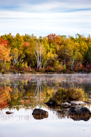 Landscapes