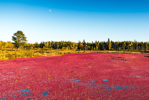 _DSC2664