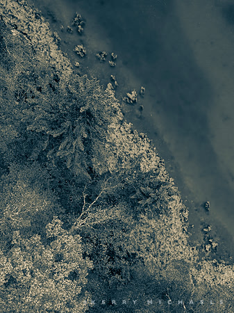 DJI_0342
