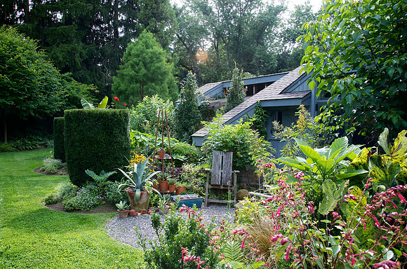Andrew Bunting Garden