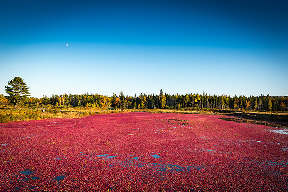 _DSC2664-2