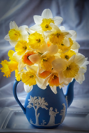 Daffodils_teapot_DSC0787