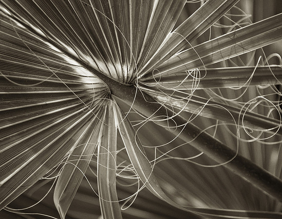 _DSC6580-Edit