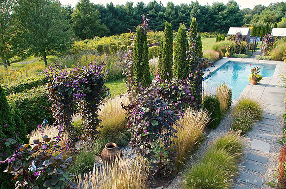 Hyland/Wente Garden