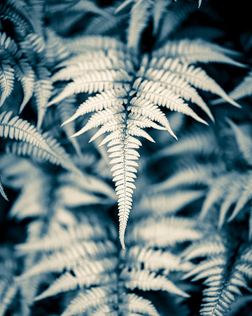 _DSC6459-Edit