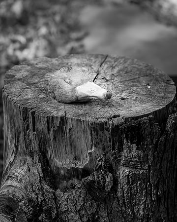 20Kerry_Michaels_DSC6975