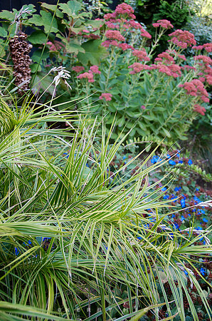 James Golden, Brooklyn Garden
