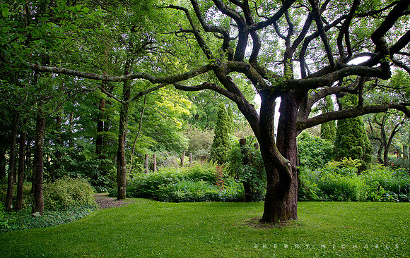 Gordon and Mary Hayward Garden