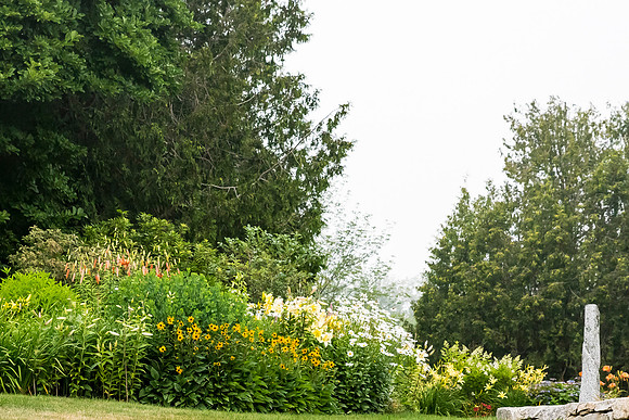 Wishcamper_DSC3378