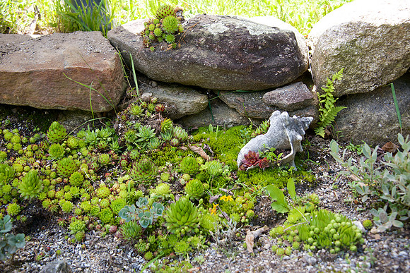 DSC_5174