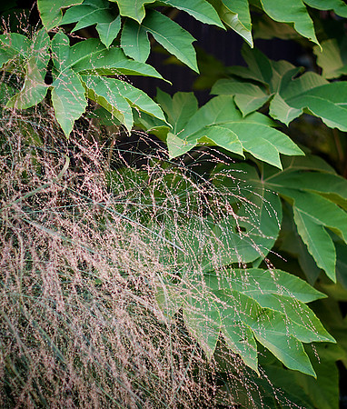 _DSC9019