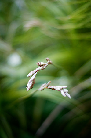 _DSC8987