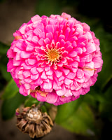 _DSC0158