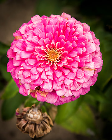 _DSC0158
