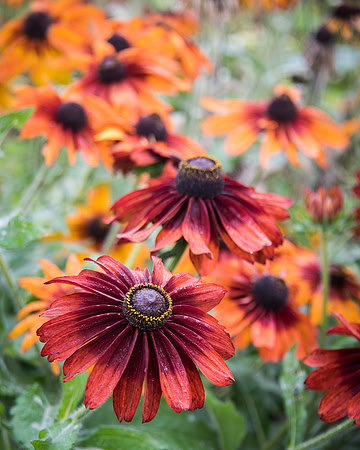 _DSC0183