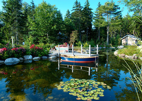 Children's Garden Summer