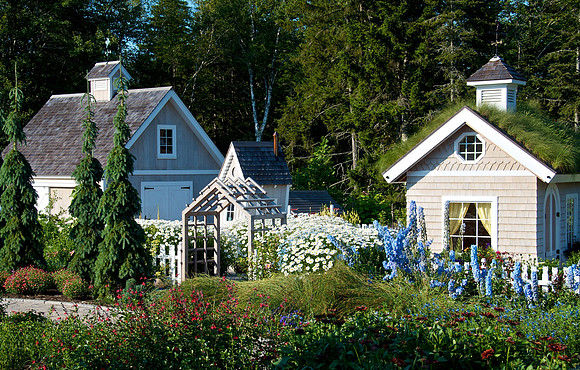 childrens garden Summer