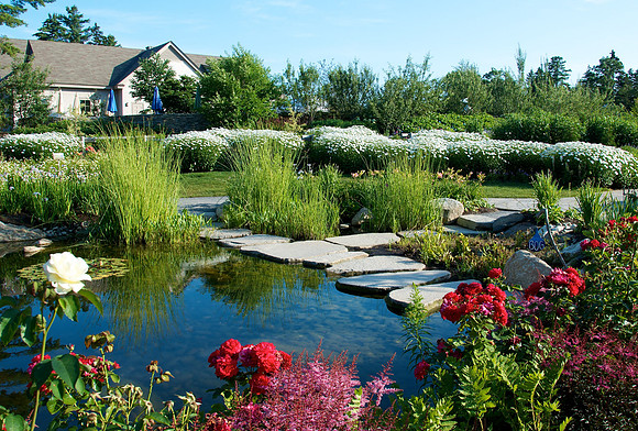Children's Garden Summer