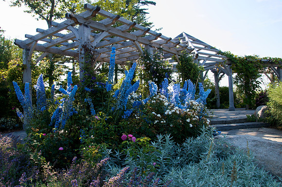 Pergola