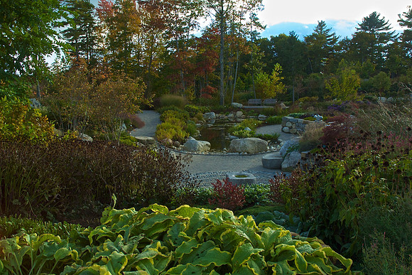Fall