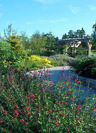 From the Children's Garden