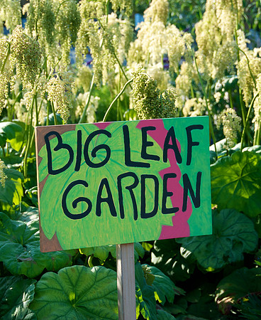 Children's Garden Summer
