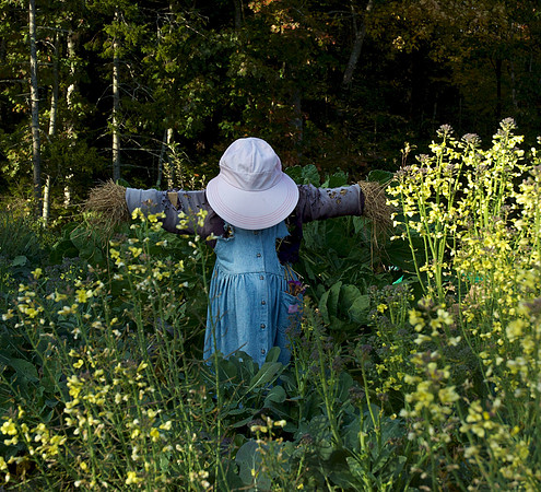 Children's Garden Fall