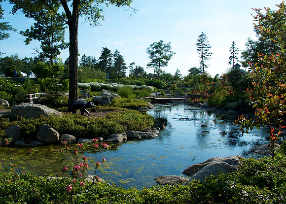 Children's Garden Summer