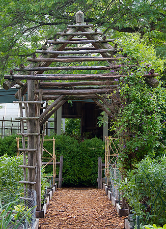 Arbor
